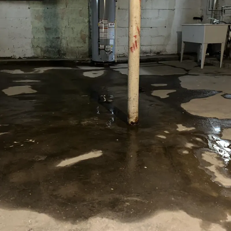 Emergency Water Extraction And Removal in Mott Haven, NY